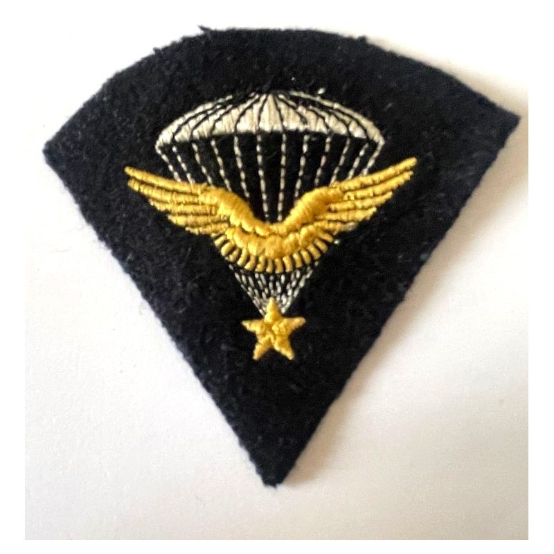 PARACHUTISTE FRANCE LIBRE BREVET MODELE 37 NON MONTE*