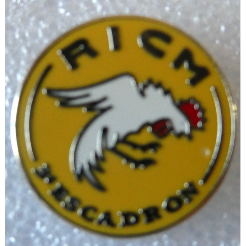 COLONIALE REGIMENT D INFANTERIE COLONIALE DU MAROC PINS 3 EME ESCADRON "