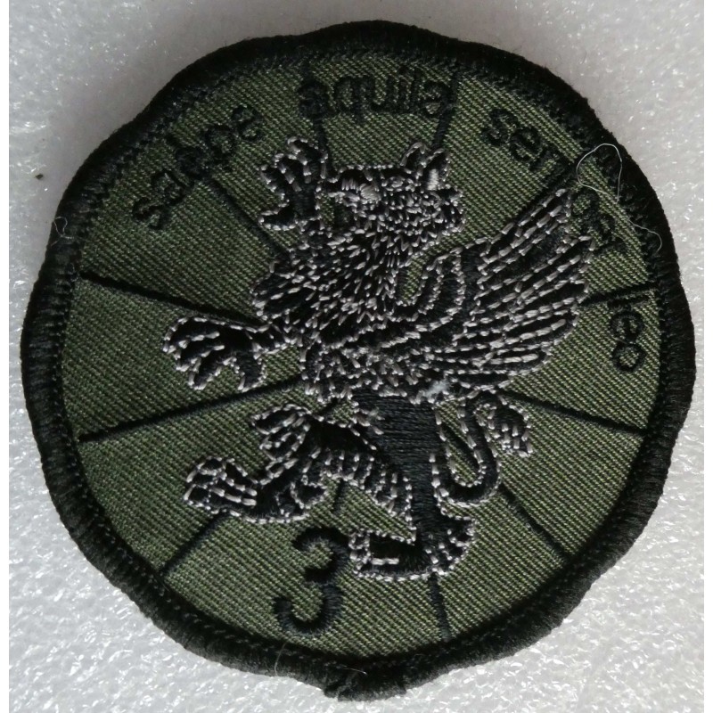 PARACHUTISTE CAVALERIE COS DRM 2 EME ESCADRON 13 EME RDP *