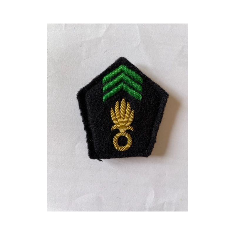 LEGION ETRANGERE PATTE DE COL OFFICIER PARACHUTISTE INFANTERIE AVEC PRESSIONS*