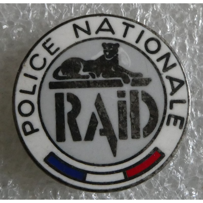 POLICE PIN S RAID