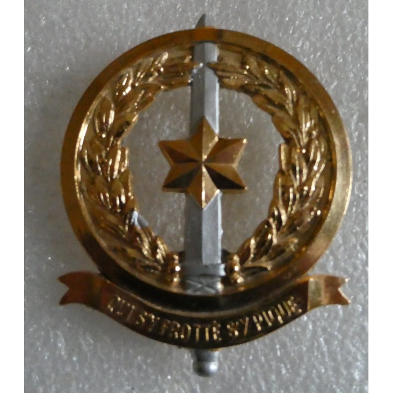 ETRANGERS GABON INSIGNE DE COIFFURE METAL QUI S'Y FROTTE S'Y PIQUE