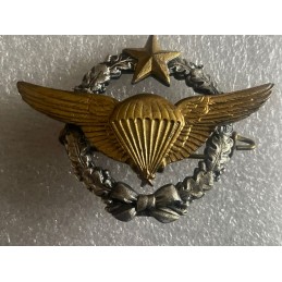 AIR BREVET PARACHUTISTE DE...