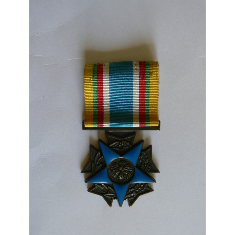 MEDAILLE DES COMBATTANTS DE MOINS DE 20 ANS