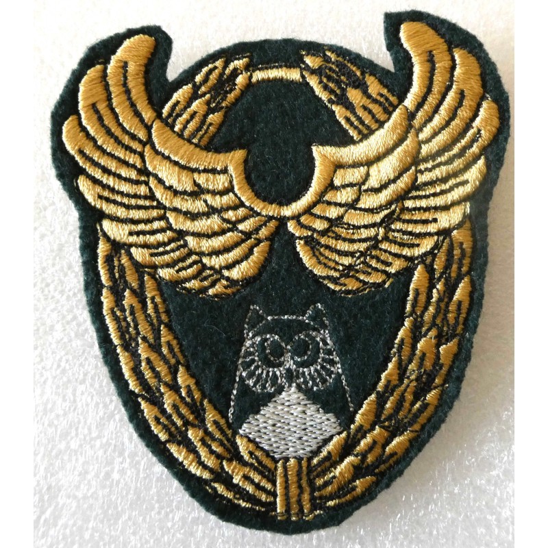 PARACHUTISTE CAVALERIE 13 EME RDP BREVET OPER*